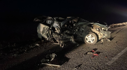 Четыре человека, среди которых дети, погибли в Костанайской области