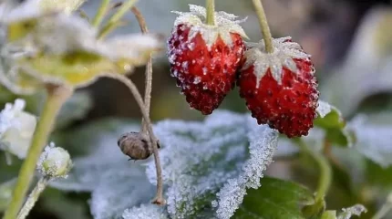 Заморозки до -5 на востоке, дожди на юге: прогноз погоды на вторник, 17 сентября