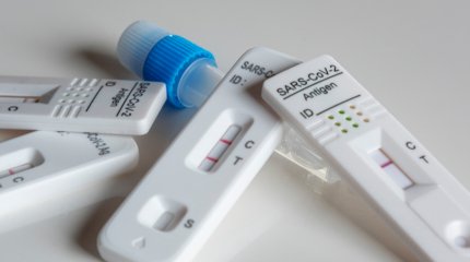 Миру угрожает новый вариант ковида XEC: чем он отличается от предыдущих