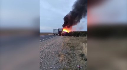 Жамбыл облысындағы жол апатынан 7 адам жанып кетті