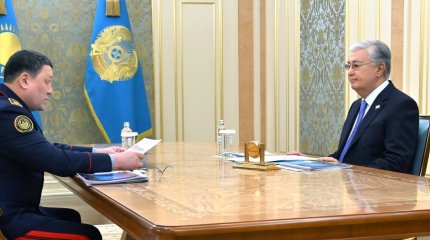 Президент принял министра внутренних дел Ержана Саденова