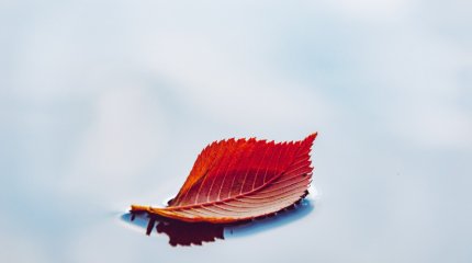 Погода в Казахстане: жара - в Шымкенте и заморозки в Астане ожидаются 2 сентября