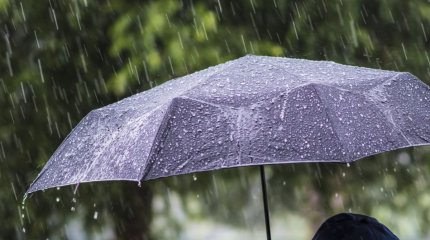 Күн суытып, толассыз жауын жауады