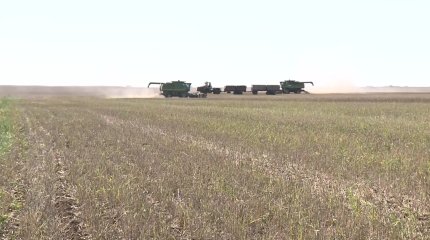 Ауыл дамыса, ахуал жақсарады