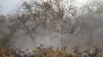 В Казахстане ожидаются дожди с грозами и заморозки до -2°С