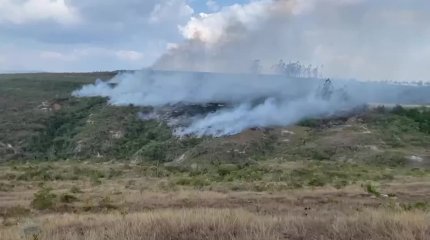 16 человек погибли от лесных пожаров в Перу. Огонь также уничтожил археологические памятники