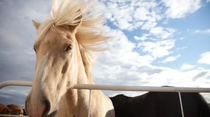 Ветер и заморозки: какой будет погода в выходные, рассказали синоптики