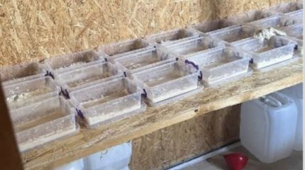 Астанчанка организовала нарколабораторию в контейнере