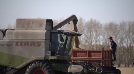 Высокий урожай в этом году удалось собрать фермерам Акмолинской области