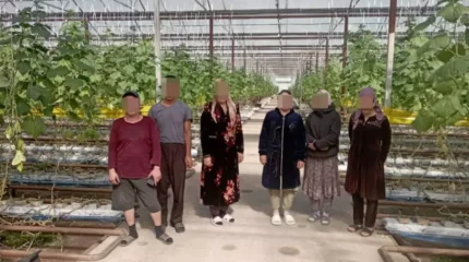 Қазақстан аумағында заңсыз жүрген 7 шетелдік ұсталды