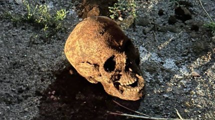 Человеческие останки нашли в Алматы