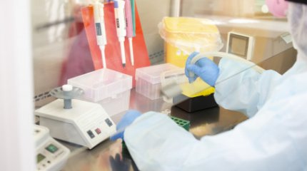 Сібір жарасы: ДСМ мәлімдеме жасады