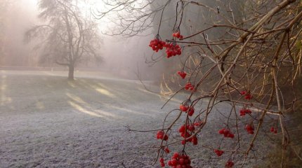 Заморозки и дожди: прогноз погоды в Казахстане на понедельник, 23 сентября