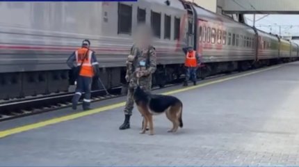 Подозреваемого в половом преступлении экстрадировали из России в Казахстан