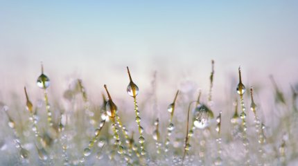 Снег, дожди и пожарная опасность: прогноз погоды в Казахстане на 24 сентября