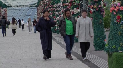 Балаларды суицидке итермелейтін ойындар көбейді