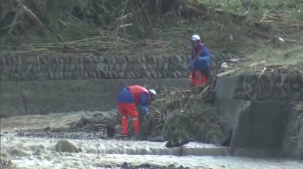 В Японии из-за ливней погибли 7 человек