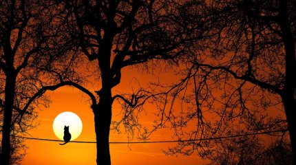 На Солнце произошла мощная вспышка: чем это чревато?