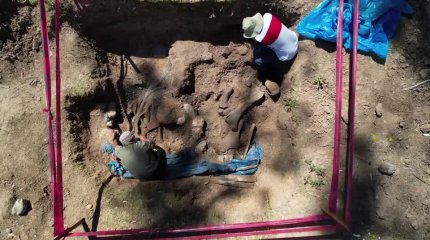 Останки мастодонтов из ледникового периода обнаружили в Перу