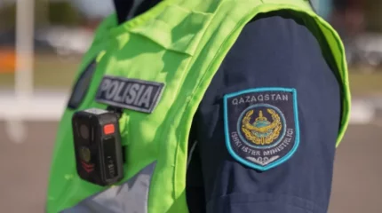 Алматыдағы университет аумағында жаппай төбелес болды