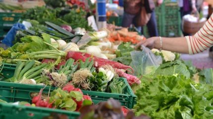Более 830 тонн продукции привезут в Астану аграрии Абайской и Кызылординской областей