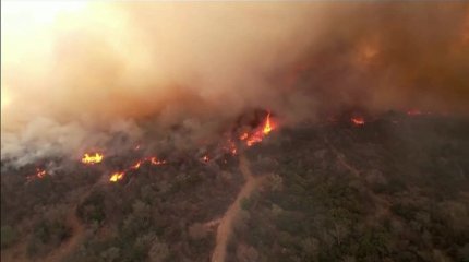 Аргентина не справляется с лесными пожарами