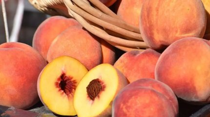 Өзбекстаннан әкелінген 2,5 тонна шабдалыдан зиянкес табылды