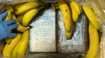 95 кг кокаина нашли среди бананов в германских супермаркетах