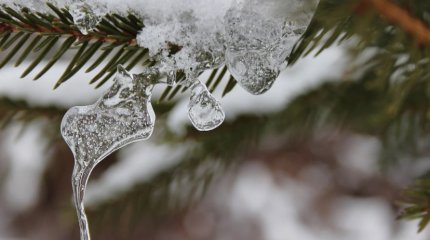 Снег и понижение температуры прогнозируют синоптики в Казахстане