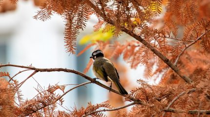 Мороз - в Астане, дожди - в Алматы и Шымкенте: прогноз погоды в мегаполисах Казахстана в четверг, 26 сентября