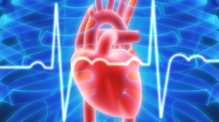 Елімізде 400 мың адамға жүрек жетіспеушілігі диагнозы қойылған - профессор