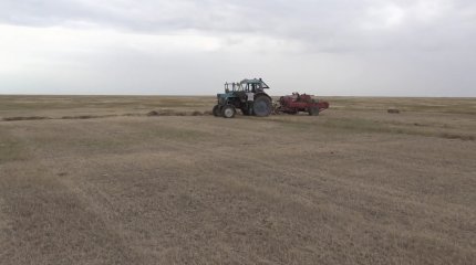 В ЗКО из-за паводка пострадали в основном озимые культуры