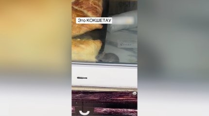 Көкшетаудағы дүңгіршектердің бірінен тышқанның самса жеп жүрген видеосы тарады