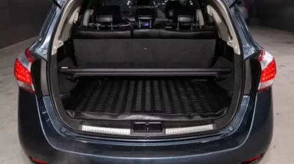 Бетінен ұрып, жүксалғышқа салып алған: Қазақстандық бұрынғы әйелін ұрлап кеткен