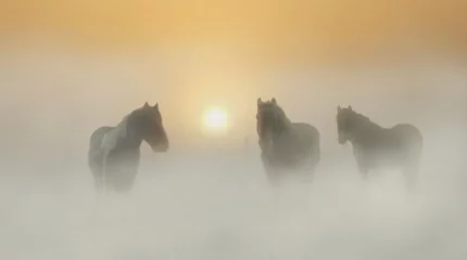 Туманы, пожары, пыльные бури: погода в Казахстане на воскресенье, 29 сентября