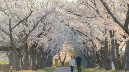 День отказа от физических нагрузок и выездов на природу: воскресный гороскоп на 29 сентября