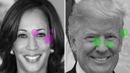 Эксперимент с макаками «предсказал» результаты выборов в США