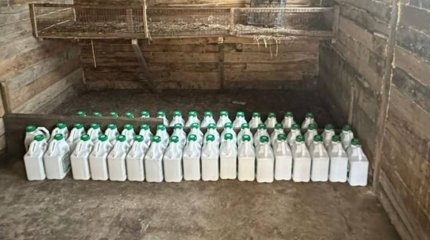 СҚО-да полицейлер ірі көлемдегі ұрлықтың бетін ашты