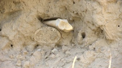 Алматыдағы Талғар қаласындағы айналма тас жол маңынан адам сүйектері табылуда