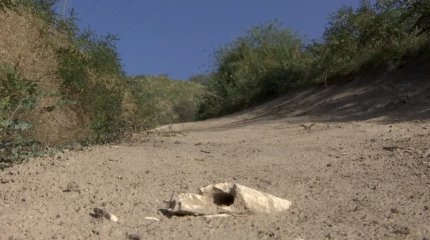 Человеческие кости обнаружили на объездной дороге в Алматинской области