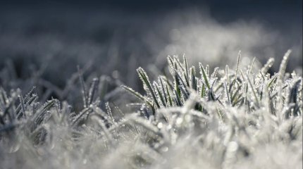 «2 градусқа дейін аяз». Алдағы күндері ауа райы қандай болады