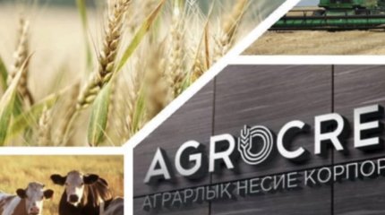 Похитили 5 миллиардов тенге на субсидиях: вынесен приговор фермерам