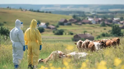 Үлкен Ақсу ауылында карантин жарияланды