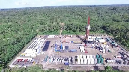 Как и сколько раз проводили референдумы в мире