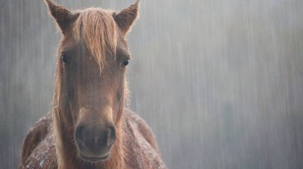 О дождях и грозах синоптики предупредили жителей двух мегаполисов в пятницу, 6 сентября