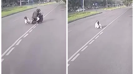 Алматыда мопедші жаяу жүргіншіні қағып, оқиға орнынан қашып кетті