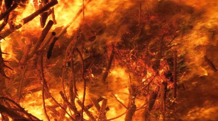 Полтысячи человек эвакуировали из-за крупного пожара в горах Германии