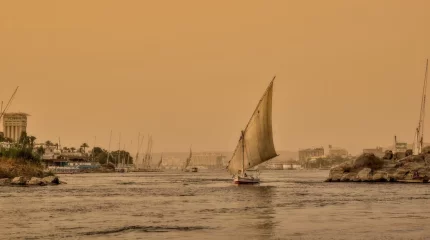 "3 миллион теңгеге жуық ақша төлеген": Алматыда Египетке бармақ болған бір топ қазақстандық алданып қалды