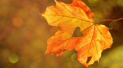 Немного потеплеет в мегаполисах Казахстана в воскресенье, 7 сентября