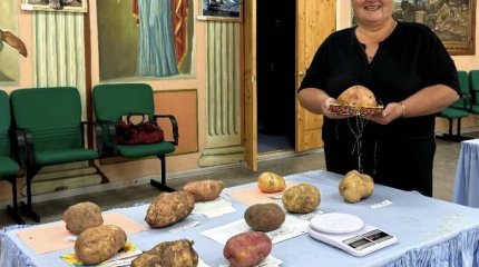 Самую большую картофелину выбрали в ВКО